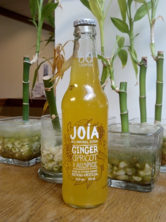 Joia All Natural Soda Ginger Apricot Allspice