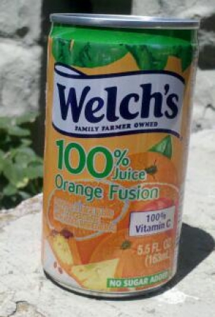 Welch's 100% Juice Orange Fusion
