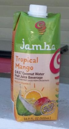 Jamba O.N.E. Coconut Fruit Juice Beverage Tropical Mango
