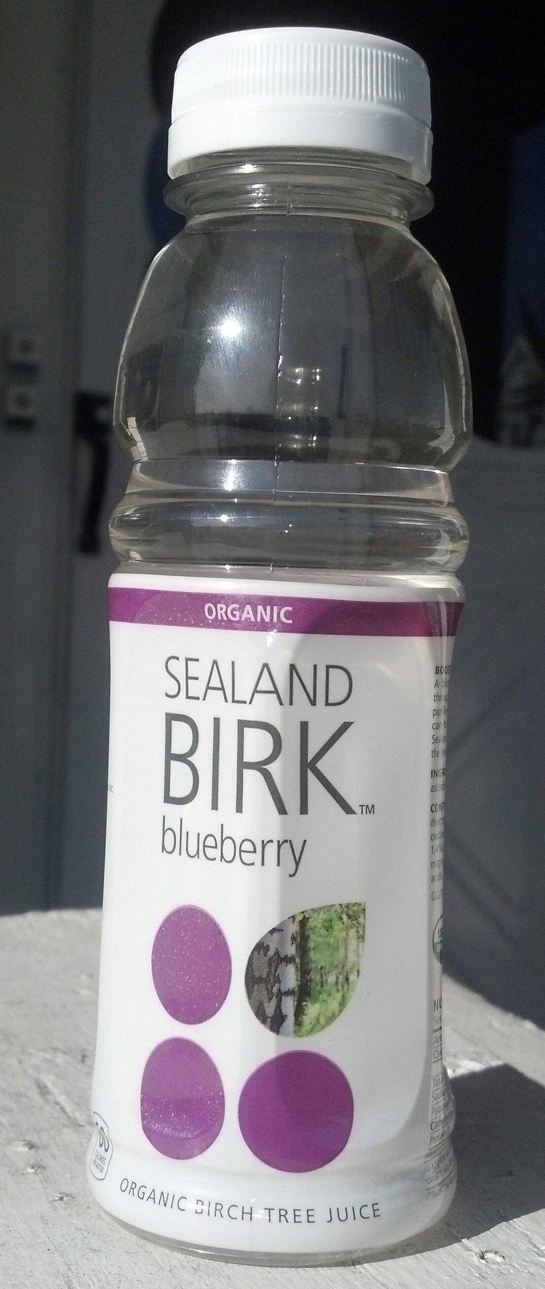 sealand-birk-blueberry-thirsty-dudes