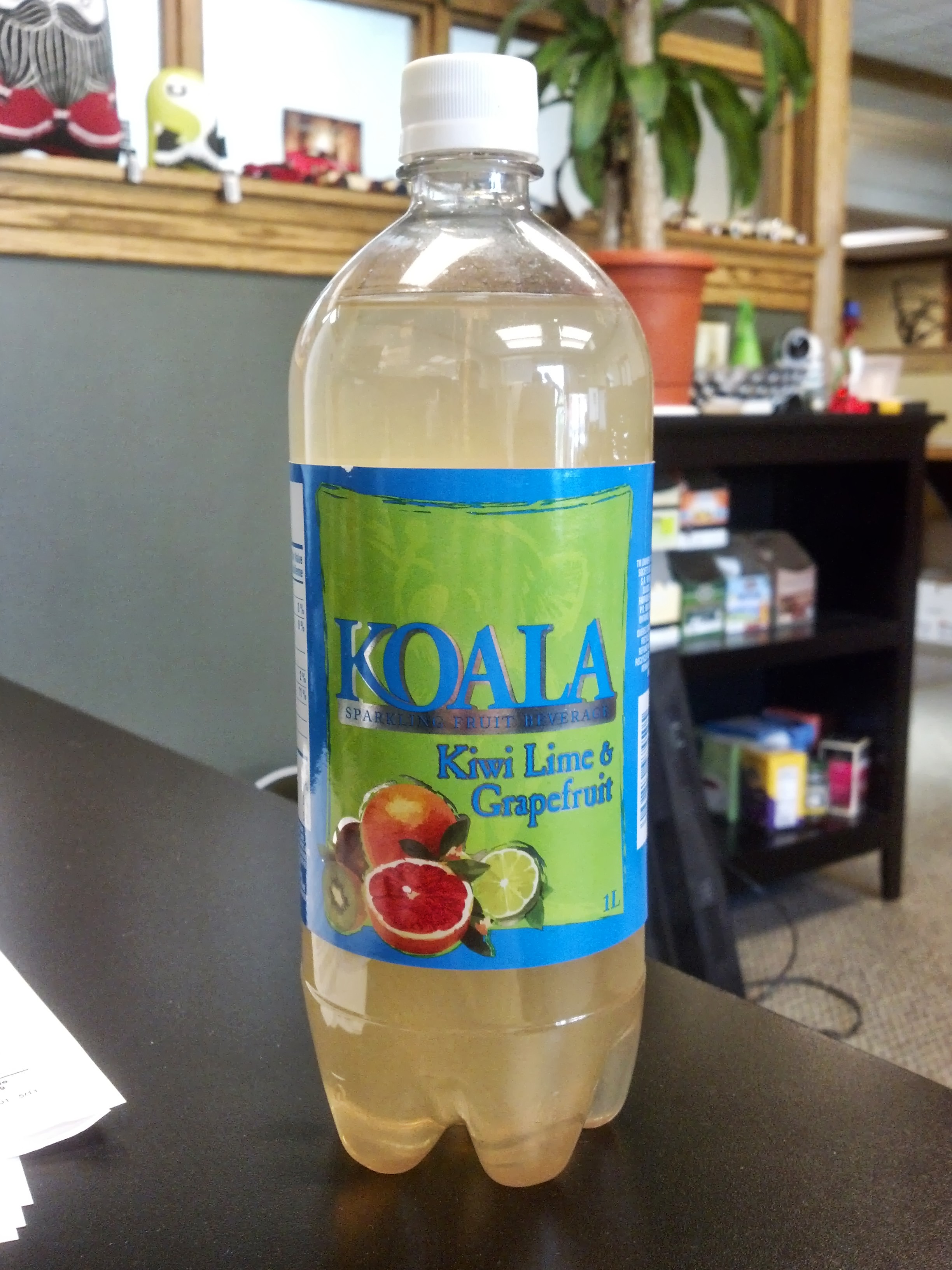 Koala Sparkling Fruit Beverage Kiwi Lime & Grapefruit Thirsty Dudes