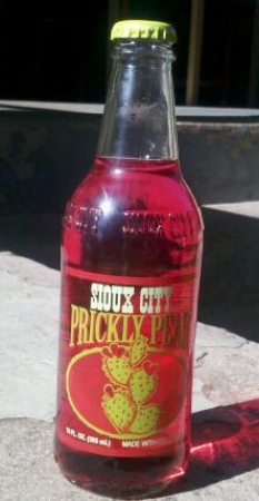 Sioux City Prickly Pear