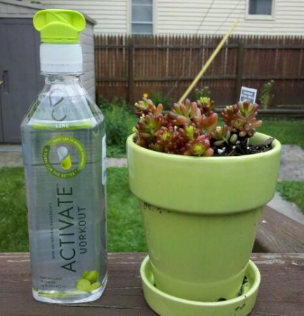 Activate Workout Lime