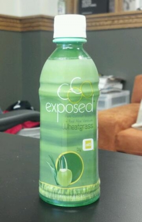 Alo Coco Exposed Wheatgrass