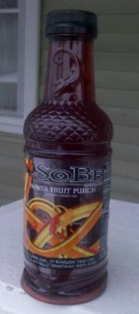 Sobe Energize Power Fruit Punch